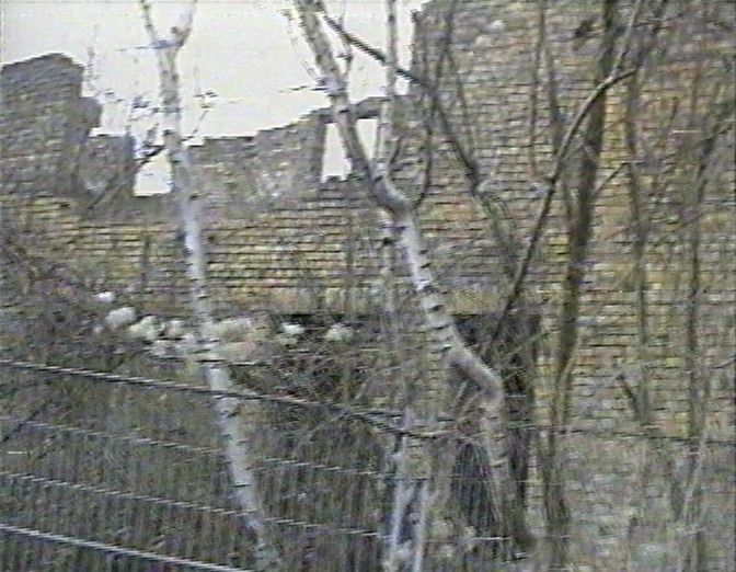 Ansicht als Ruine II 2005