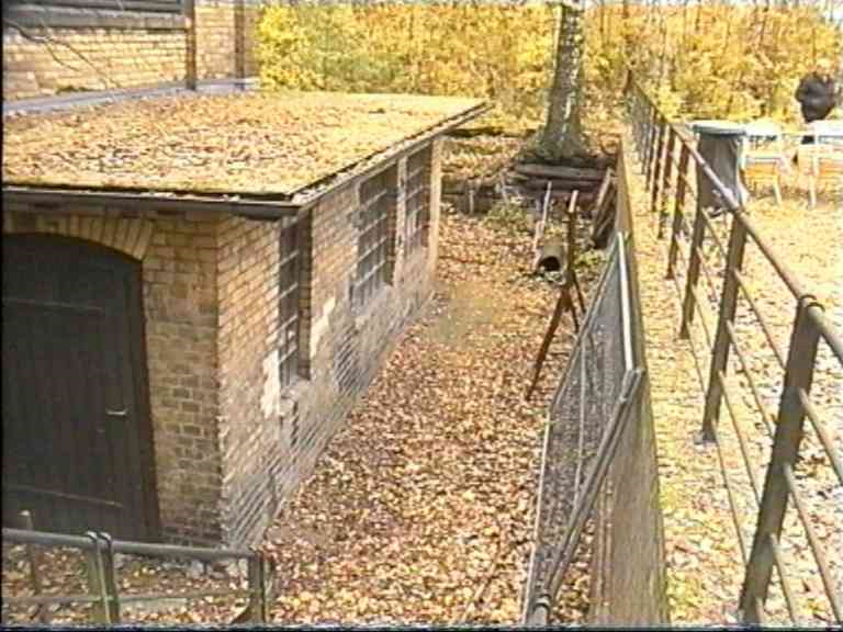 Ansicht als Ruine IV 2003